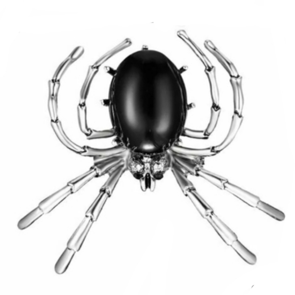 🕸 Spider Brooch - Picture 1 of 2